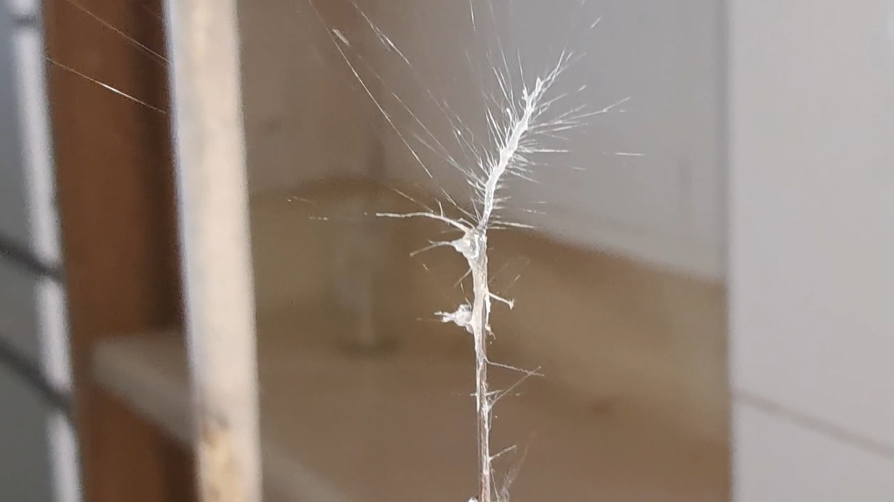 Electrospinning: Solution of Polystyrene in Methylene Chloride